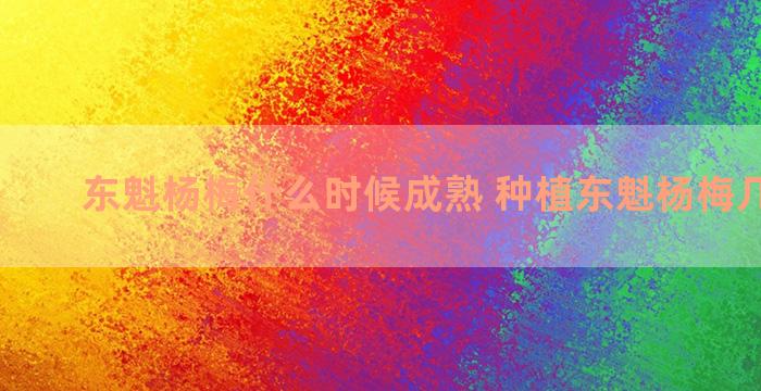 东魁杨梅什么时候成熟 种植东魁杨梅几年挂果